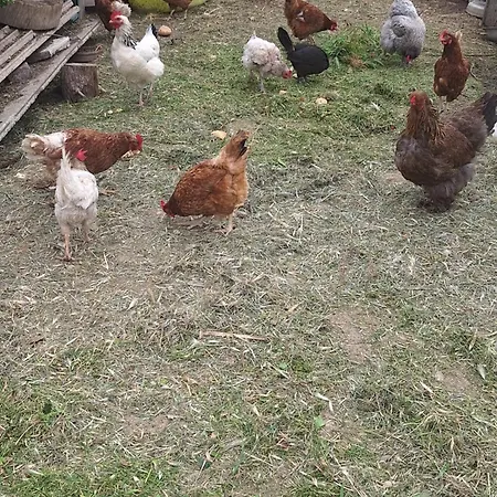 Les Muriers - Etage Complet D'une Grande Maison Avec Jardin Argeliers
